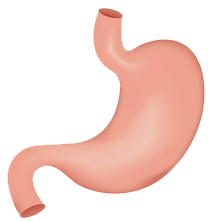 關(guān)注職場“腸”態(tài)，守護(hù)員工健康——上海格瑞特特邀消化內(nèi)科專家公益系列講座（4）(圖9)