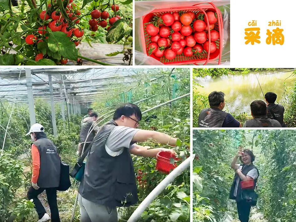 上海格瑞特夏日?qǐng)F(tuán)建活動(dòng)圓滿舉行(圖4)